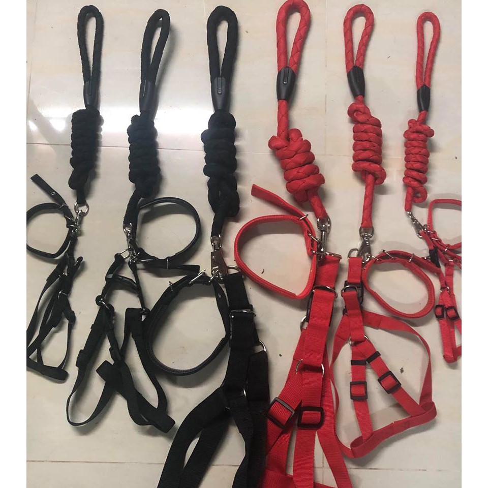 Bộ dây combo 3 món ( dây + vòng + đai ngực )