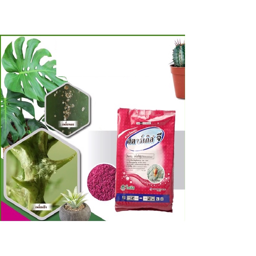 Thuốc tím trị rệp Starkle G thái lan loại rải gốc hoặc xịt trị các loại côn trùng hại rễ và lá cây