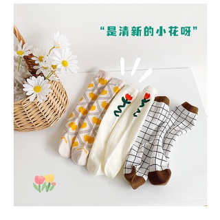 Set 3 Tất dài( vớ lửng) phong cách Hàn