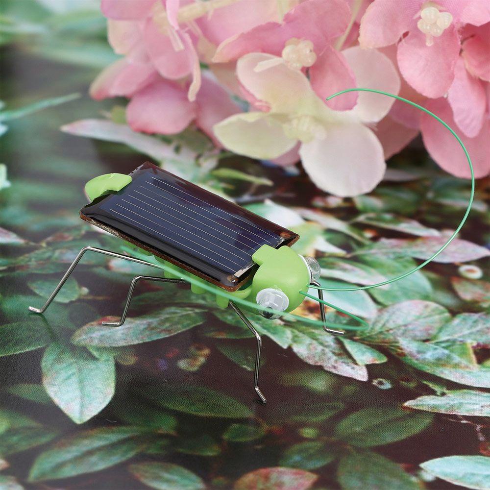 Lilyes Đồ Chơi Mô Hình Côn Trùng Năng Lượng Mặt Trời Mini Cho Trẻ Em