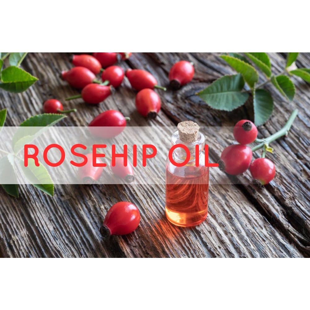 DẦU NỤ TẦM XUÂN ROSEHIP nguyên chất | Rosehip Seed Oil 100% Organic 10ml