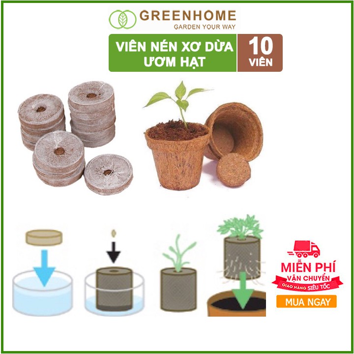 [Freeship 70K] Viên nén xơ dừa ươm hạt giống, trồng cây, ươm hạt- Bộ 10 Viên , ươm cây giống, trồng dâu tây