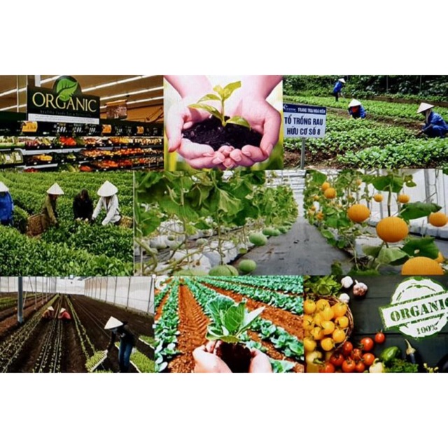 ShopVậtTư