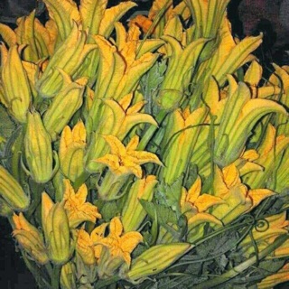 [ Deal Hot] Nguyên gói Hạt giống bí ngô ăn bông Thái Lan