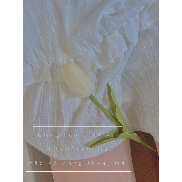 Bộ Lily Gồm Áo Và Quần - Hình Thật Shop tự Chụp | BigBuy360 - bigbuy360.vn