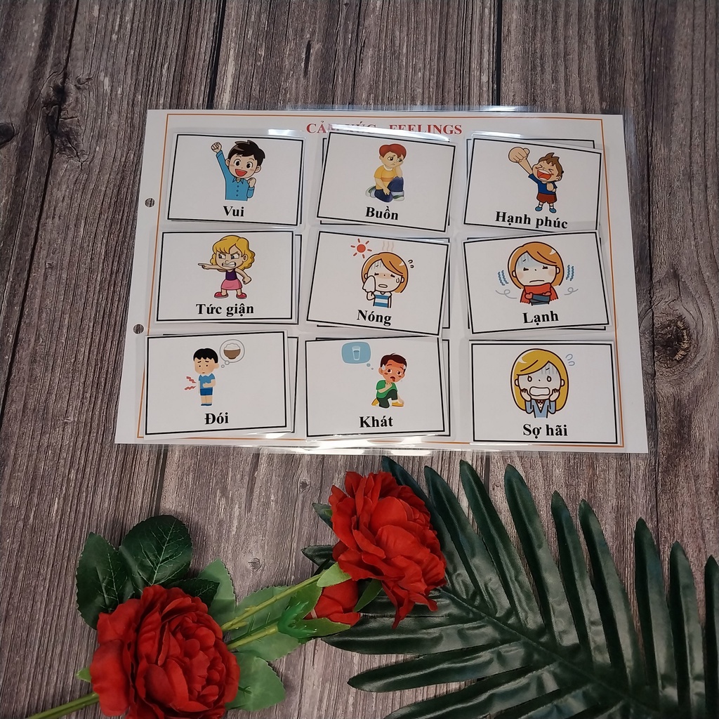 Học liệu bóc dán Montessori 15 chủ đề song ngữ cho bé có phiên âm, hình ảnh bắt mắt, ép plastic bo cạnh an toàn