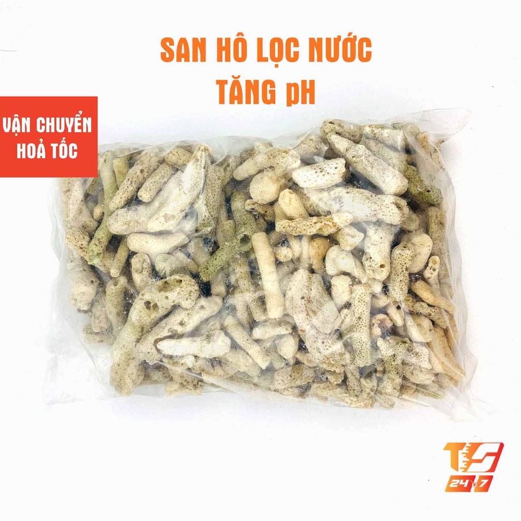 1kg San Hô Lọc Hồ Cá - Vật Liệu Lọc Bể Thủy Sinh