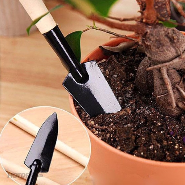 Bộ 3 dụng cụ làm vườn, chậu cây mini - nhỏ nhắn và siêu tiện dụng