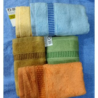 Khăn gội mollis