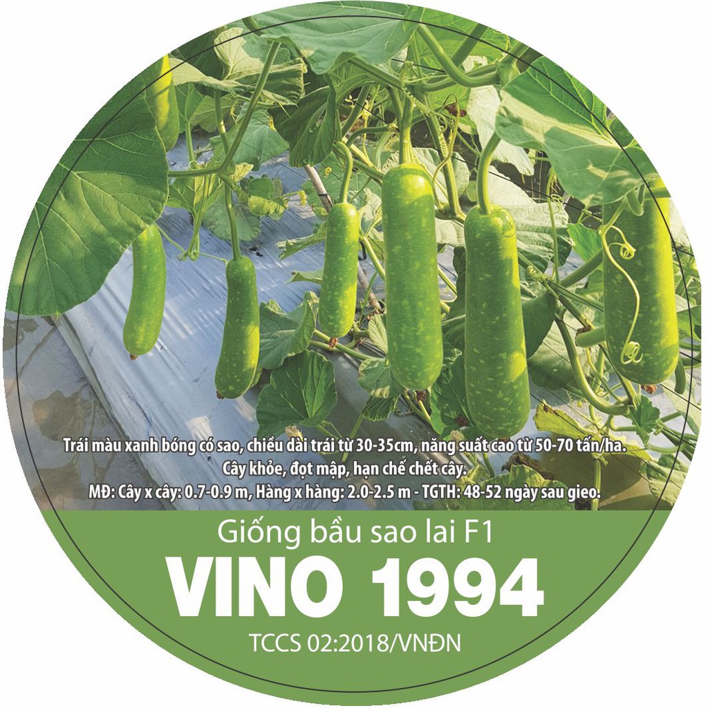 Năng suất cao - Hạt giống bầu sao lai F1 VINO 1994 (10gr)