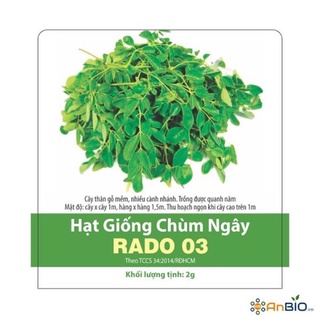Hạt giống Chùm Ngây 03 (10 hạt)