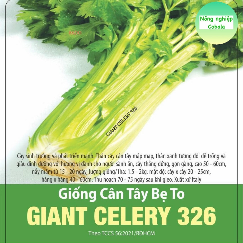 Hạt Giống Cần Tây Bẹ To (326) 5gr