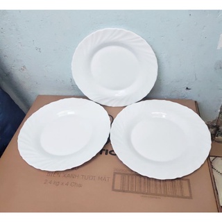 combo 3 dĩa sứ opal 24cm