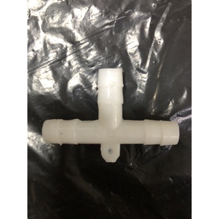 T chia bioga (phi 10)