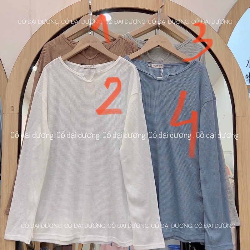 Áo sần ô dài tay 5820