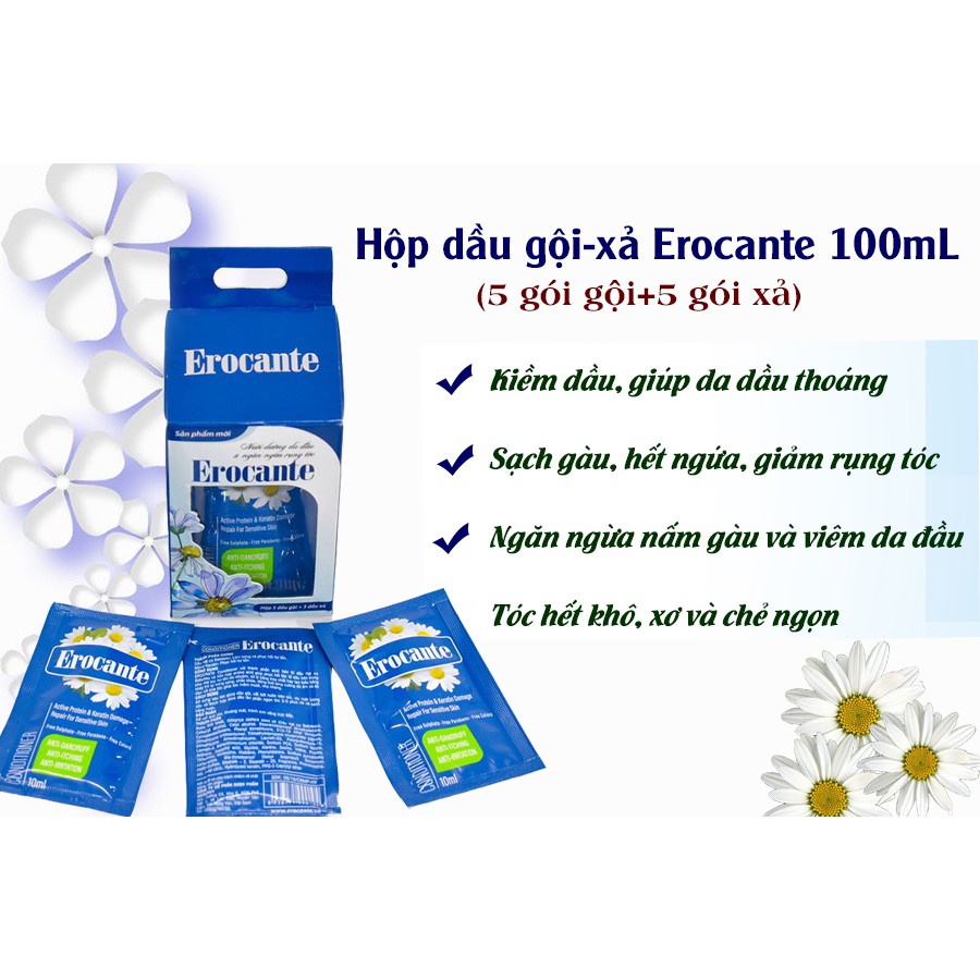 Combo Viên uống & Hộp dầu gội Erocante 100ml kiềm dầu, giảm rụng tóc, sạch gàu ngứa 5 Gói Gội và 5 Gói Xả