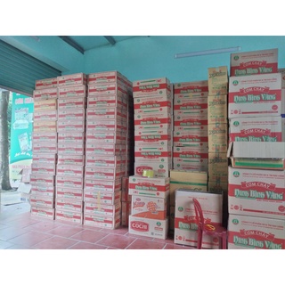 Cơm cháy COCHI - Đặc sản Ninh Bình