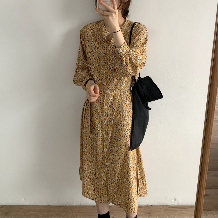 IELGY   Đầm Chiffon Dài Tay Cổ Tròn In Hoa Thời Trang