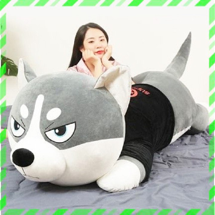 Gấu Bông Chó Husky Siêu To Khổng Lồ 💥 FREESHIP 💥 Gấu Bông Sóc Nhí - Gấu bông chó husky alaska cao cấp