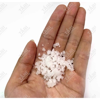 1KG Muối Hột Sát Trùng Hồ Cá - Muối Hạt Tạo Nước Mặn Cho Nước Mới