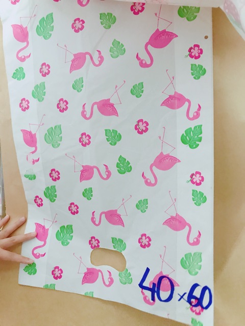 [1 Kg] Túi Hột Xoài Đựng Hàng, HD In Hình, Trắng Trơn