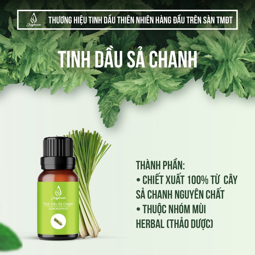 Tinh dầu sả chanh 10ml JULYHOUSE giúp xua đuổi côn trùng, khử mùi, thơm phòng