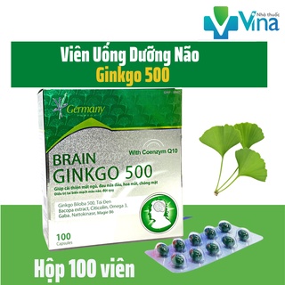 BRAIN Ginkgo 500-Giúp Hoạt Huyết, Tăng Cường Lưu Thông Máu
