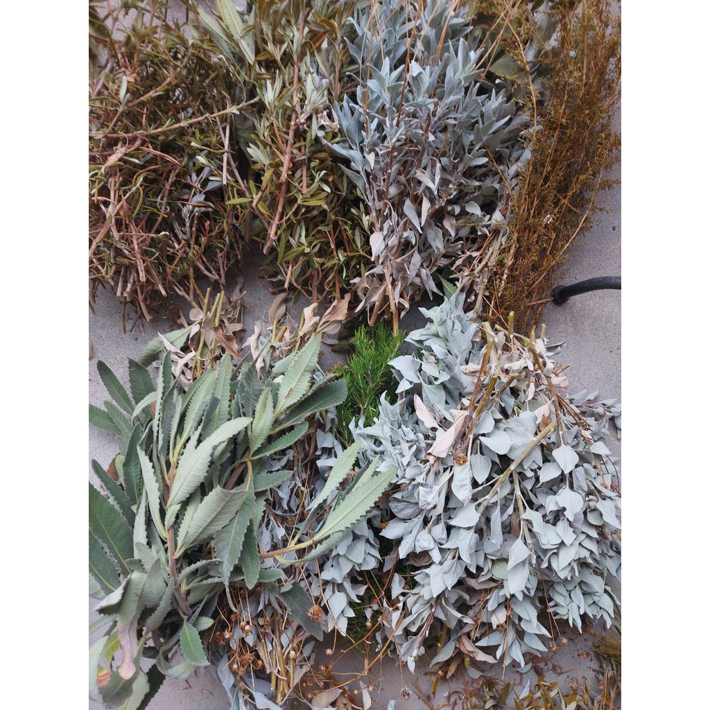 Mix Sage (xô thơm, thảo dược xông nhà)