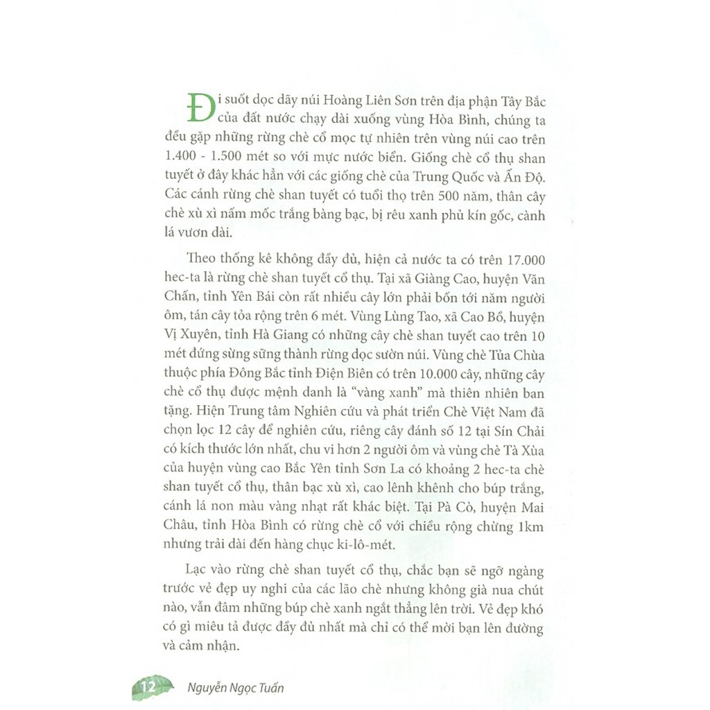 Sách - Phác Thảo Danh Trà Việt Nam | BigBuy360 - bigbuy360.vn