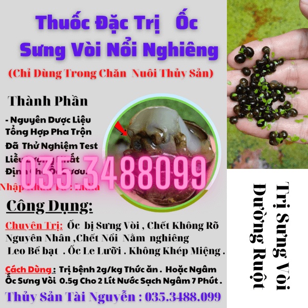 Chuyên Ngừa ốc Bị Sưng Vòi Nổi Ngiêng Chết Không Rõ Nguyên Nhanh Ốc Bị Đường Ruột Leo Bạt