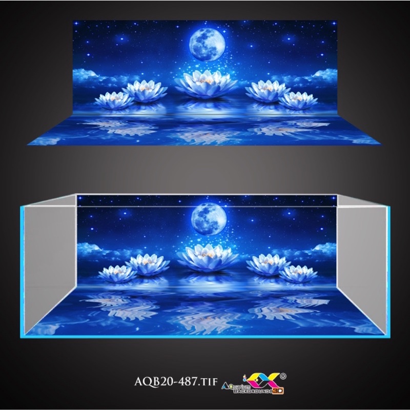 Tranh 3D dán bể cá
