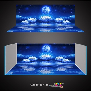 Tranh 3D dán bể cá