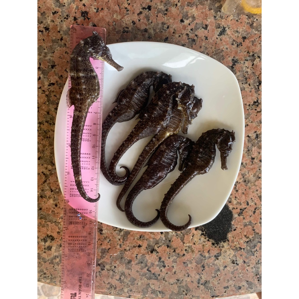 Cá ngựa khô 9cm - 13cm