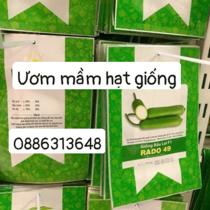 RD Bầu trái dài F1 Rado 49