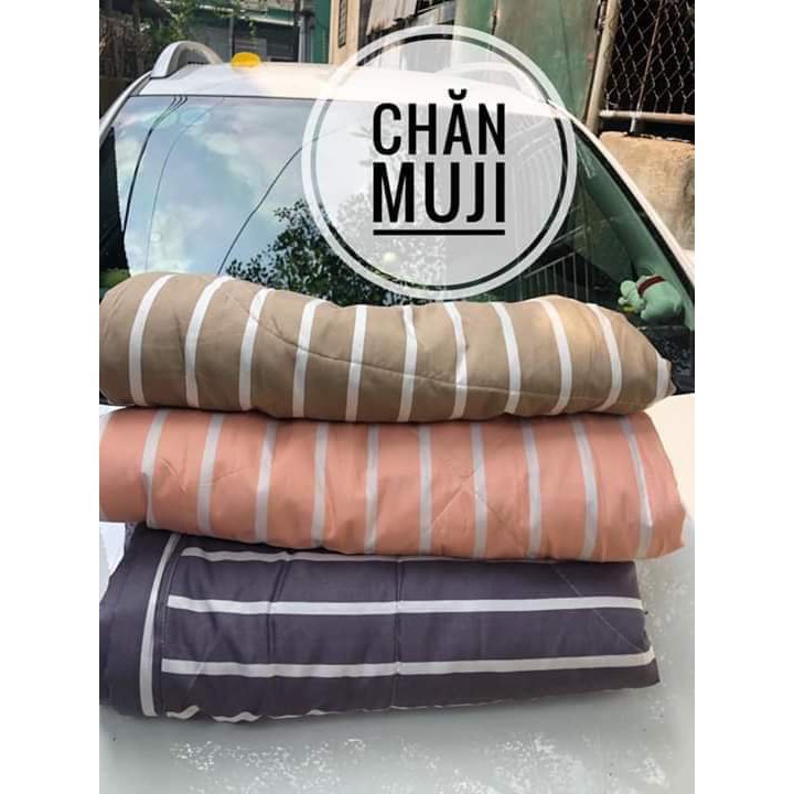 CHĂN ĐŨI MUJI KẺ SỌC XUẤT NHẬT MẪU MỚI NHẤT 2020 (HOT)