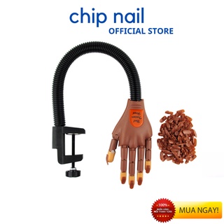 Bàn tay giả học nail