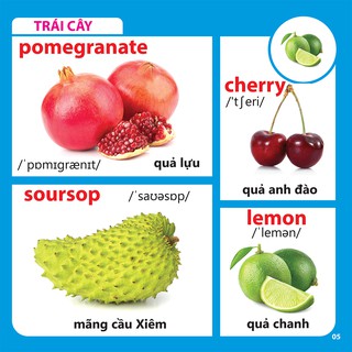 Bách Khoa Toàn Thư Cho Bé - Rau Củ Quả