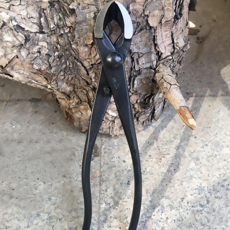 Dụng Cụ Cắt Tỉa Cành Cây Bonsai Tiện Dụng Cho Gia Đình