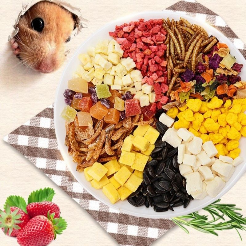 Thức ăn dậm dinh dưỡng cho Hamster, sóc