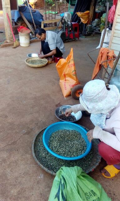 Combo 1kg Mika nguyên chất và 1kg Mika trộn | BigBuy360 - bigbuy360.vn