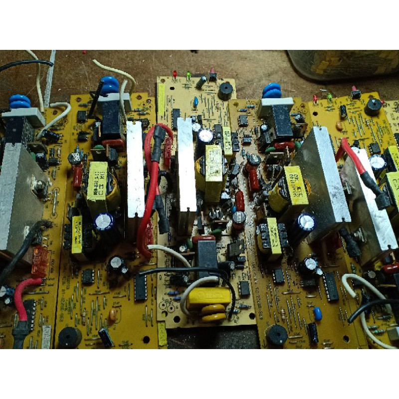 Boar mạch tg500 sống