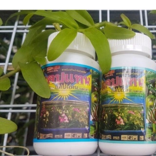 Thuốc trị nấm bệnh cho lan và hoa CAPTAN Thái
