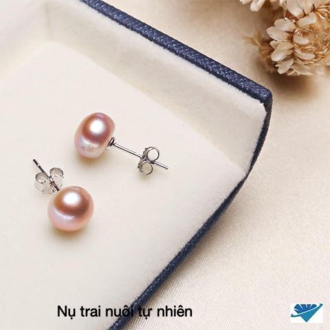 Bông nụ, nụ bạc gắn trai nuôi cao cấp, khuyên bạc bibi silver