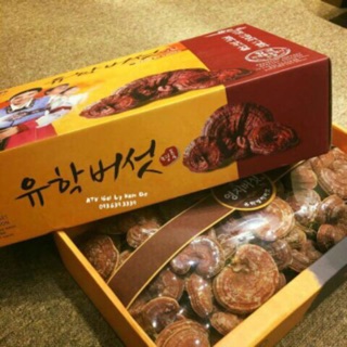 Nấm linh chi bao tử dạng khay hàn quốc 1kg