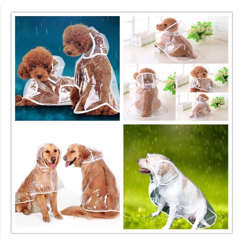 Áo mưa trong suốt thời trang cho thú cưng