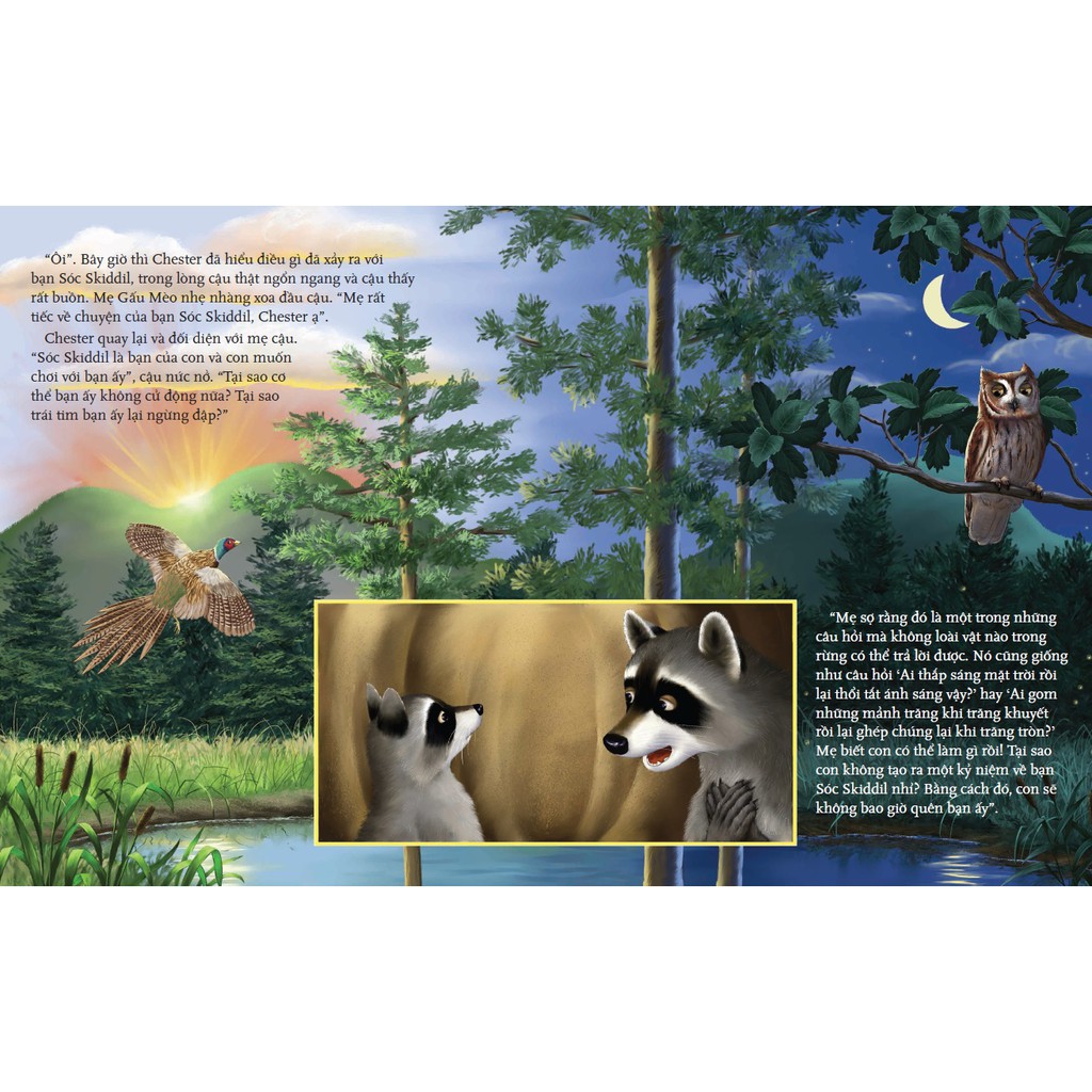 Sách Combo 6 cuốn picture book song ngữ Gấu mèo Chester TB