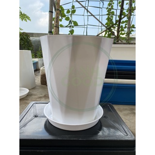 Chậu nhựa kim cương xanhgood KC-04 có đế trang trí vườn trồng cây cảnh size 260*295