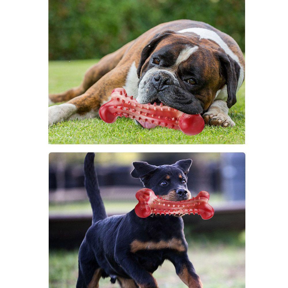 YNATURAL Bàn Chải Đánh Răng Chống Cắn Hình Khúc Xương Cho Thú Cưng