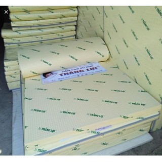 Nệm cao su Thắng Lợi 80% thiên nhiên 10cm ( phân ).