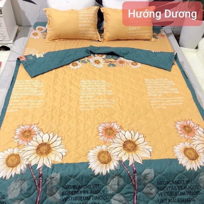 ❤️Bộ Gối + Ga Trải Giường Cottong Poly❤️Cao Cấp. Bo Chun Đủ kích thước Nhiều Hoạ Tiết Đẹp